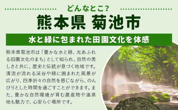 【定期便5回】 旬の野菜とたまごのセット