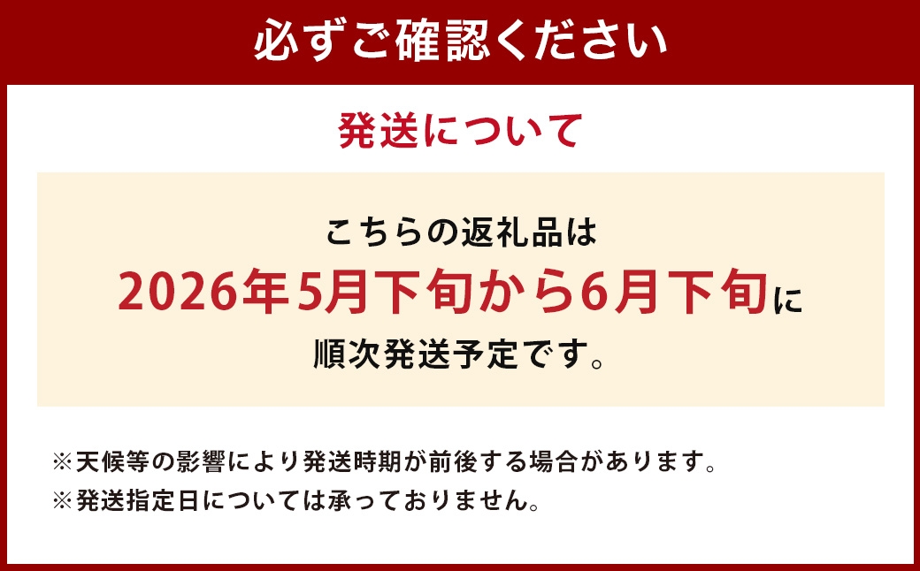 とうもろこし ゴールドラッシュ 5本～8本入 