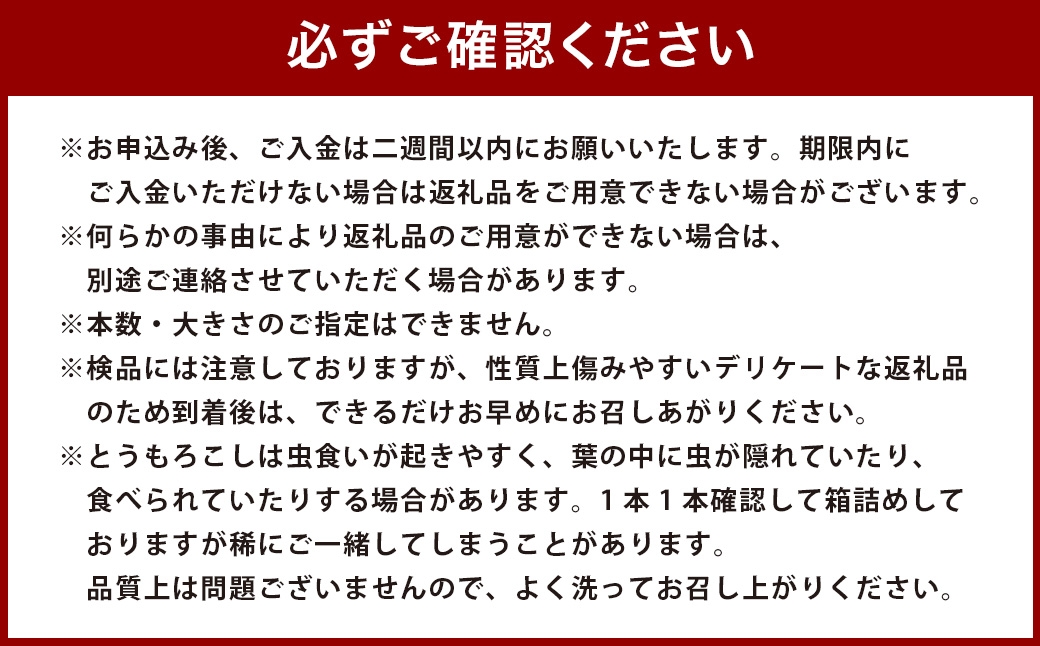 とうもろこし ゴールドラッシュ 12本～15本入