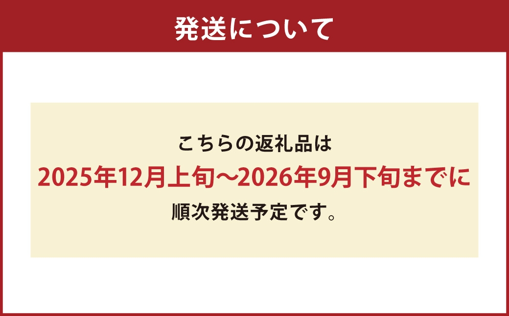 【2025年12月上旬発送開始】【令和7年度産】熊本県産くまさんの輝き5kg