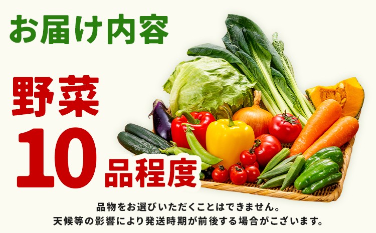 【定期便5回】 野菜 定期便 10品程度