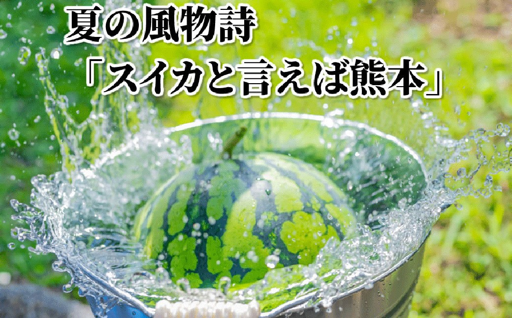 訳あり大玉すいか 1玉