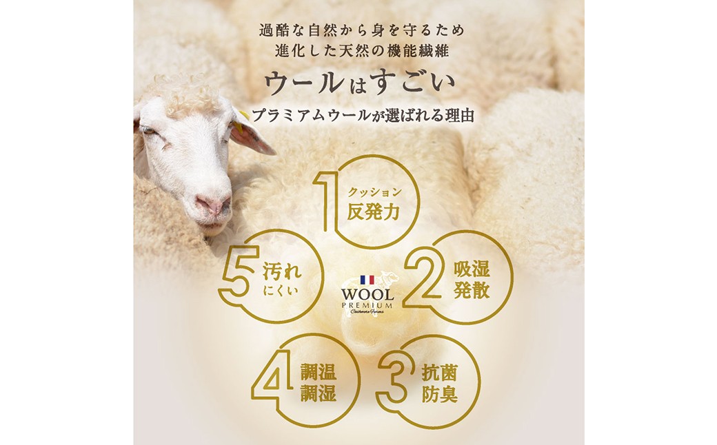 羊毛100％ 日本製 掛け布団 秋冬用・シングルロング 150×210cm