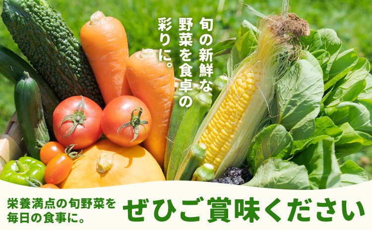 【定期便5回】 野菜 定期便 10品程度