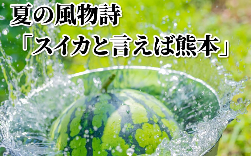 大玉すいか 秀品 1玉 約6kg〜9kg 