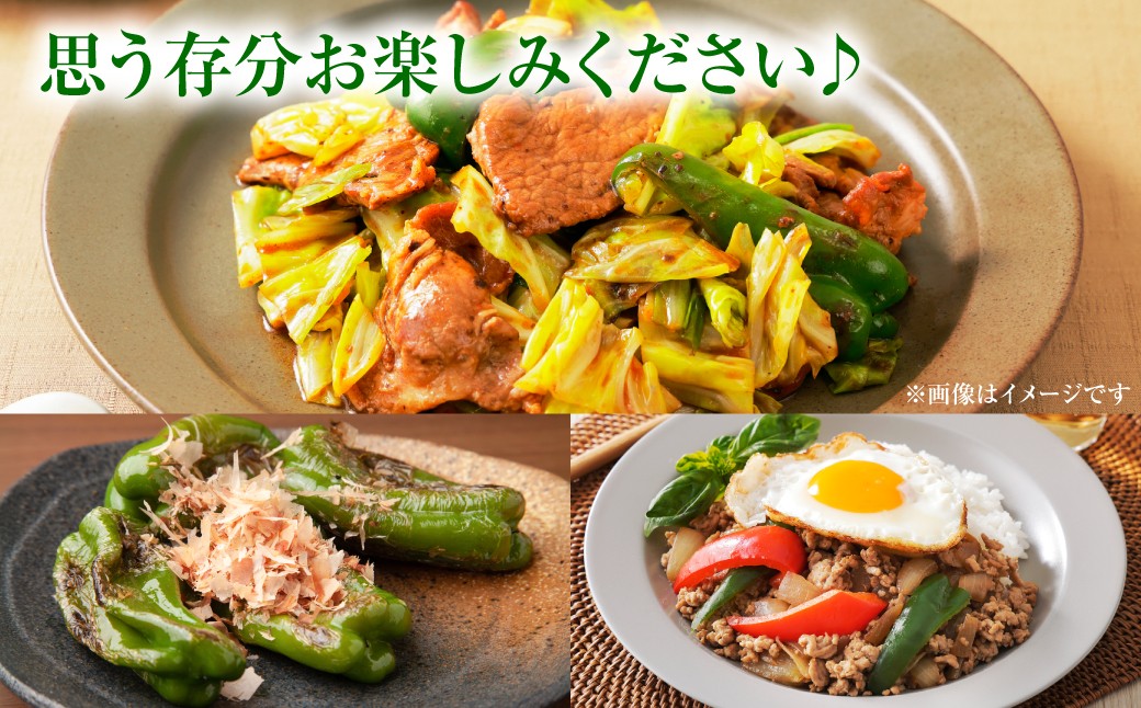 思う存分お楽しみください♪
