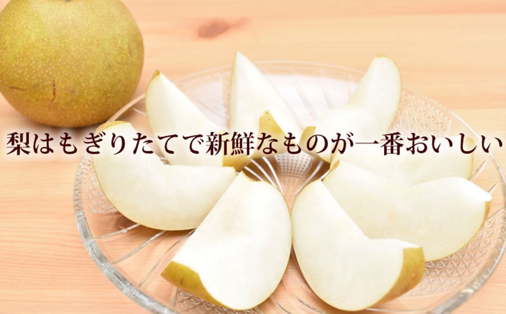 訳あり 梨 3kg