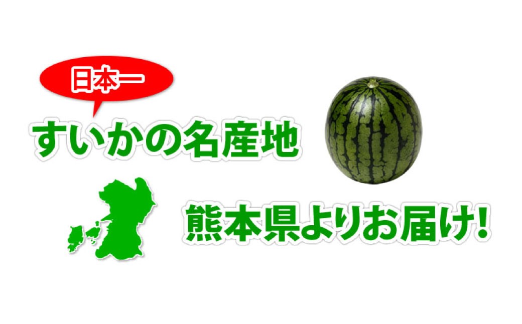 大玉すいか 秀品 1玉 約6kg〜9kg 