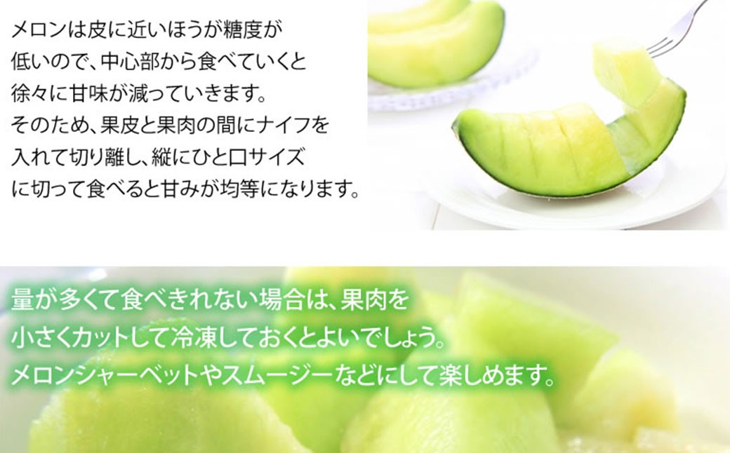 肥後グリーンメロン 2玉 （約3～4kg）