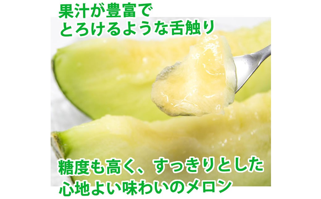 肥後グリーンメロン 2玉 （約3～4kg）