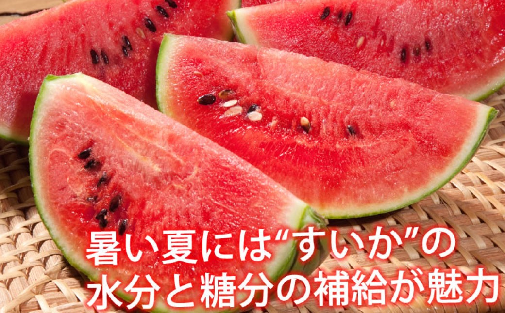 大玉すいか 秀品 1玉 約6kg〜9kg 