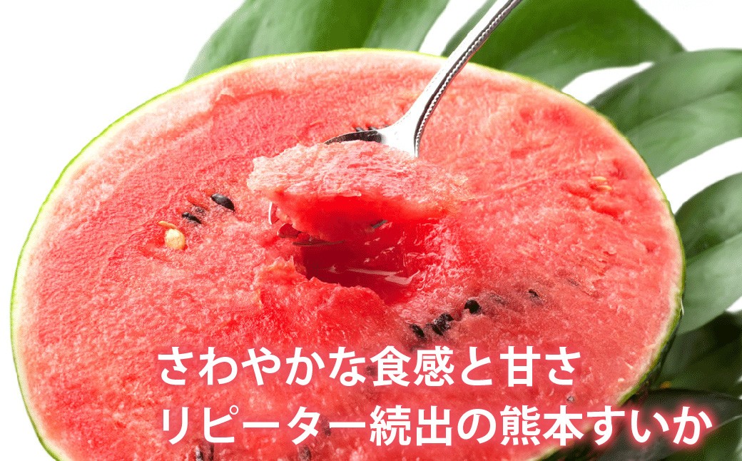 訳あり大玉すいか 1玉