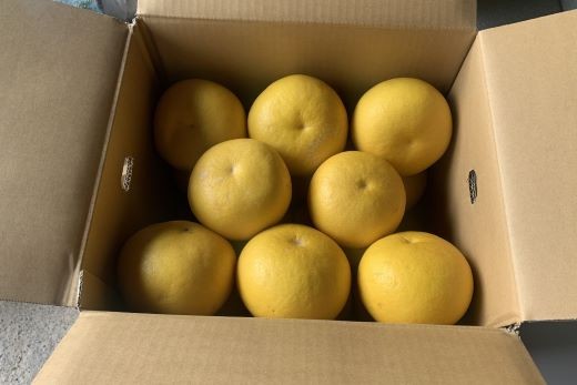 荷姿イメージです