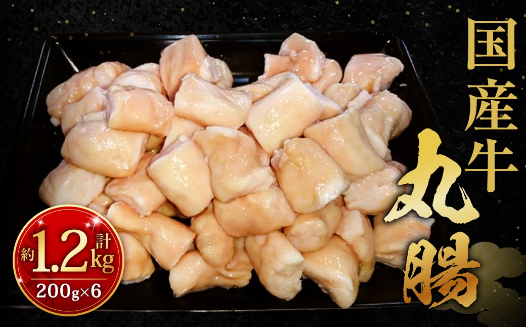 国産牛丸腸 約1.2kg（市立食肉センター直送）