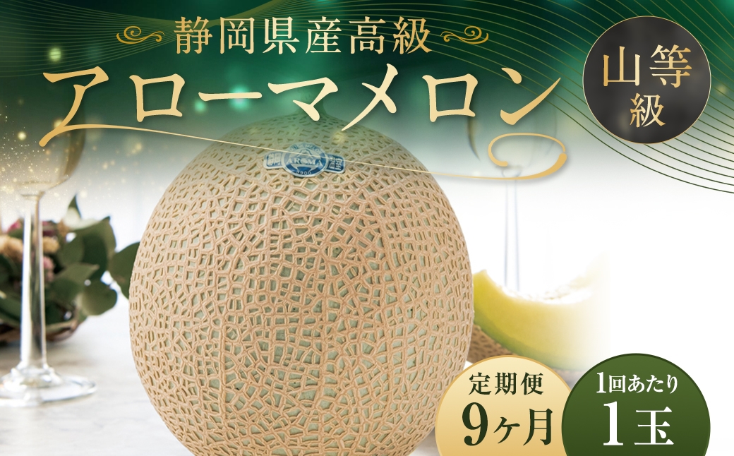 【9ヶ月定期便】静岡県産高級 アローマメロン 約1.3kg以上×山等級1玉
