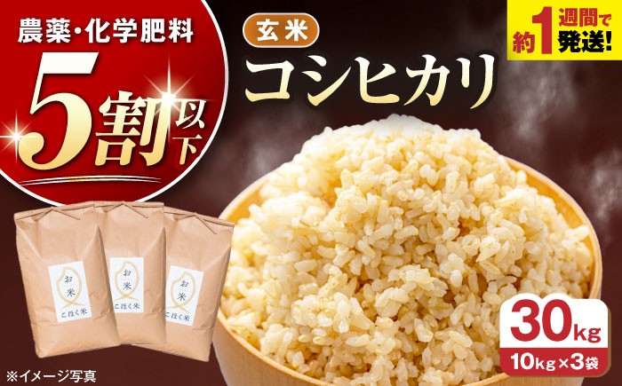 滋賀県湖北産 湖北のコシヒカリ 30kg(玄米)　米 お米 ご飯 ごはん ゴハン おにぎり 炊き込みご飯 人気 おすすめ