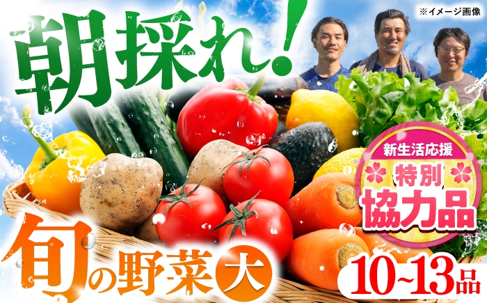 土佐の太陽をいっぱいに浴びた旬の野菜セット「大」【土佐野菜】 [ATBA002]