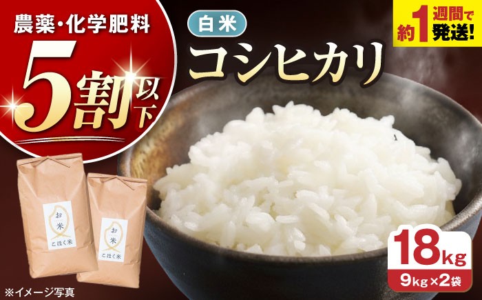  白米 コシヒカリ 18kg 米 お米 コメ 精米 kome こしひかり ご飯 ごはん ゴハン おにぎり 人気 おすすめ 長浜市