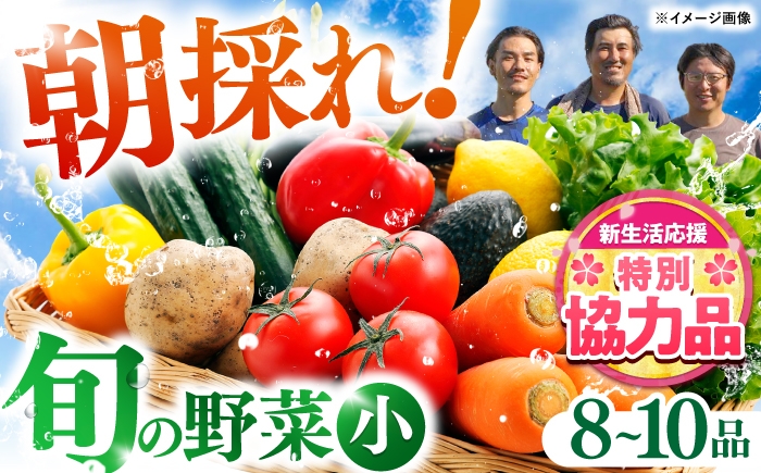 【栽培期間中農薬・化学肥料不使用】土佐の太陽をいっぱいに浴びた旬の野菜セット「小」【土佐野菜】 [ATBA001]