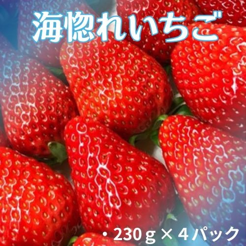 ※画像はイメージです。