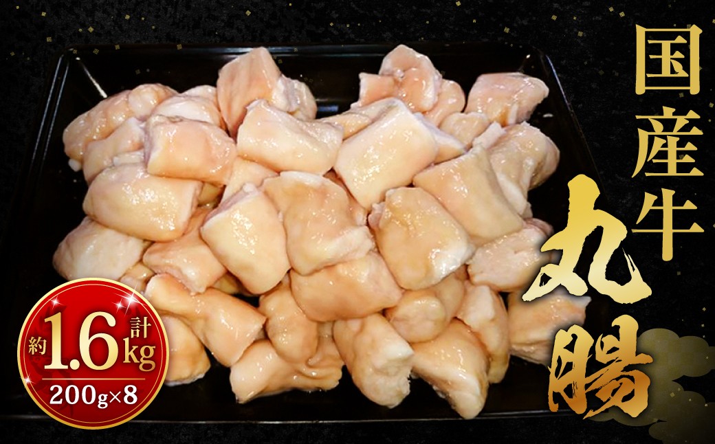 国産牛丸腸 約1.6kg（市立食肉センター直送）