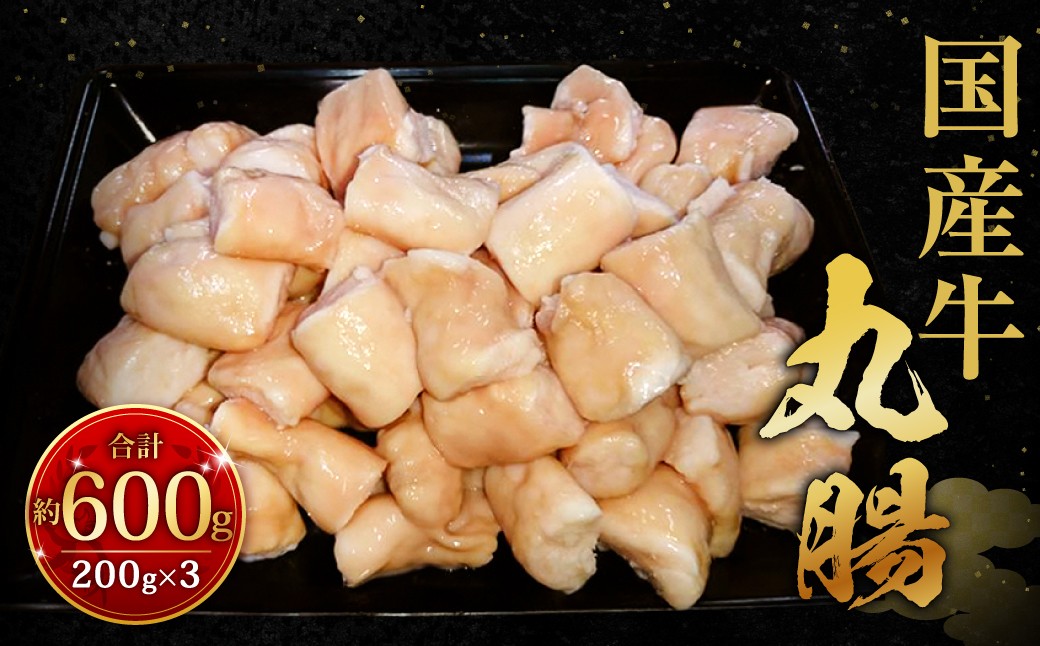 国産牛丸腸 約600g（市立食肉センター直送）