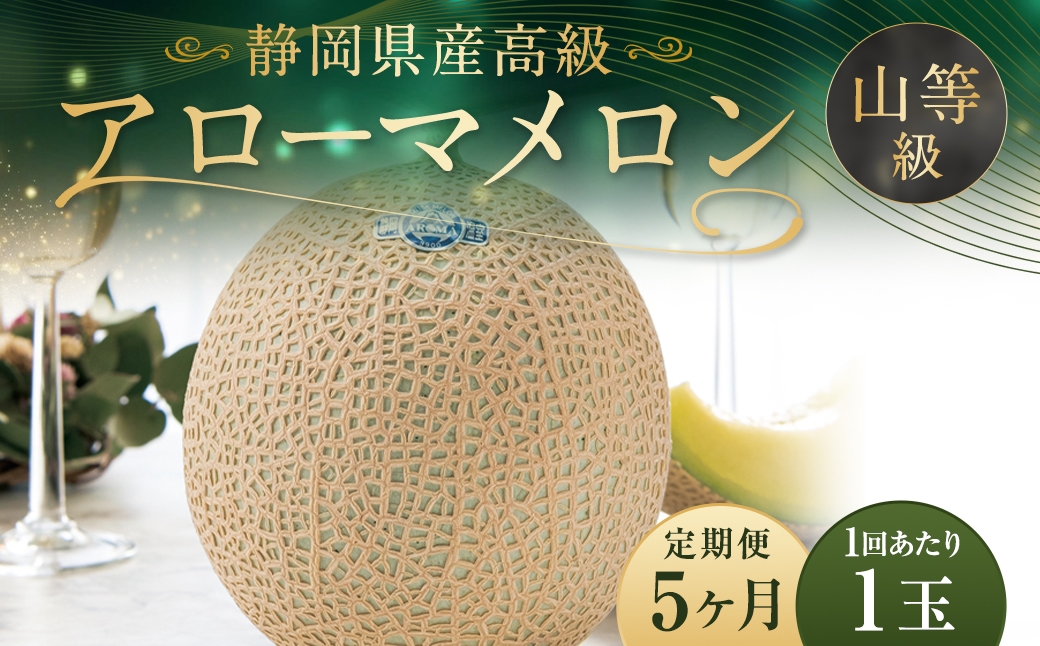 【5ヶ月定期便】静岡県産高級 アローマメロン 約1.3kg以上×山等級1玉