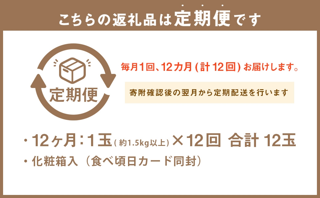 【12ヶ月定期便】静岡県産高級 アローマメロン 白等級 大玉1玉
