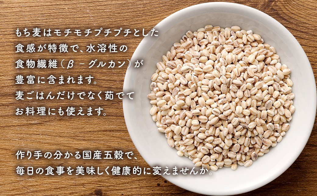 【箱入り】 プチプチ！ もち麦（丸）1kg×2袋 