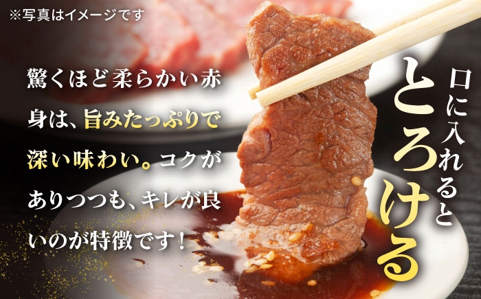 ステーキ 人気 和牛  壱岐牛 希少 柔らかい やわらかい 贈り物   肉 黒毛