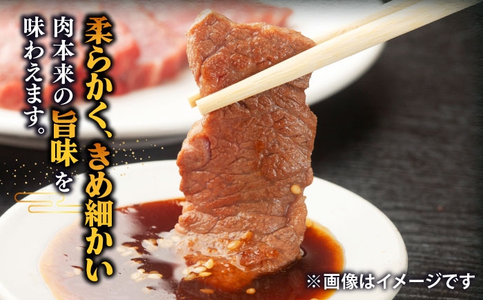 人気 和牛  壱岐牛 希少 柔らかい やわらかい 贈り物 ギフト  肉 黒毛和牛