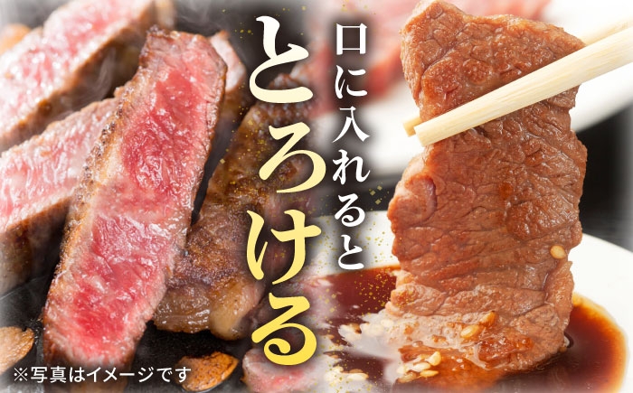 ステーキ 人気 和牛  壱岐牛 希少 柔らかい やわらかい 贈り物   肉 黒毛