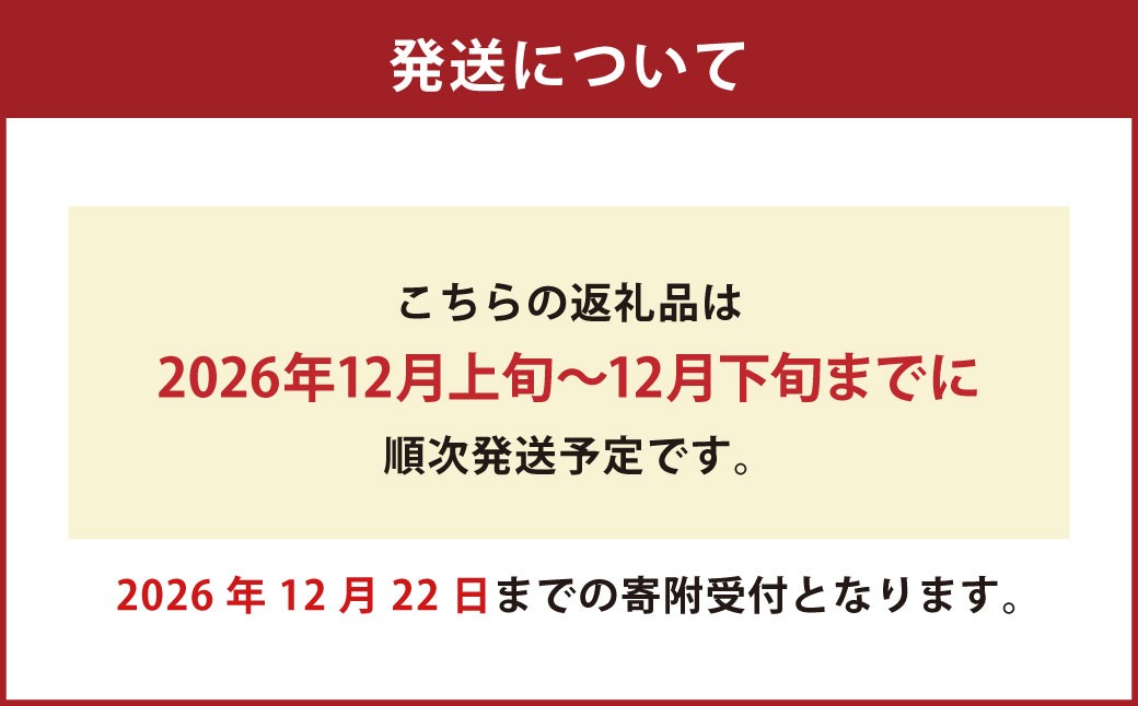 ゆく年＆くる年セット8食入りつゆ付