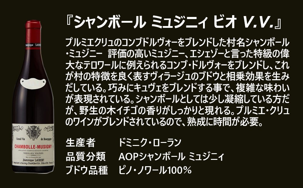 FD566 福智山ダム熟成 五つ星生産者ブルゴーニュ赤6選-06