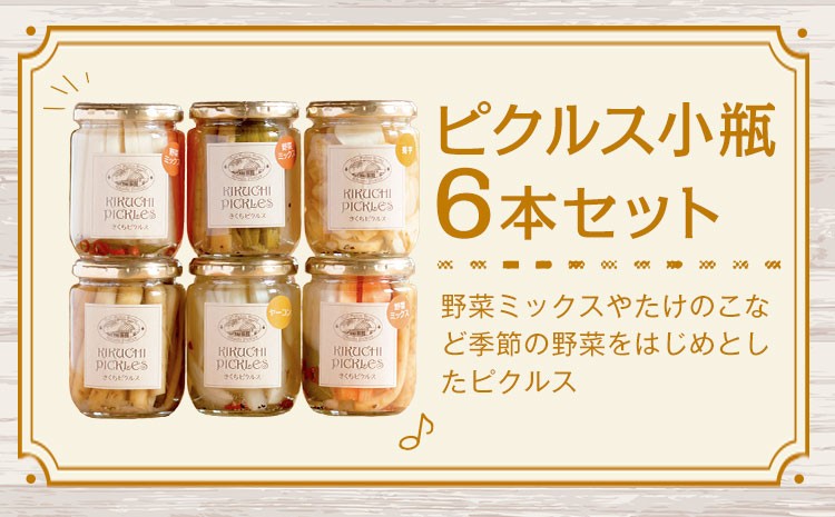 ピクルス小瓶 6本セット【メロンドーム】