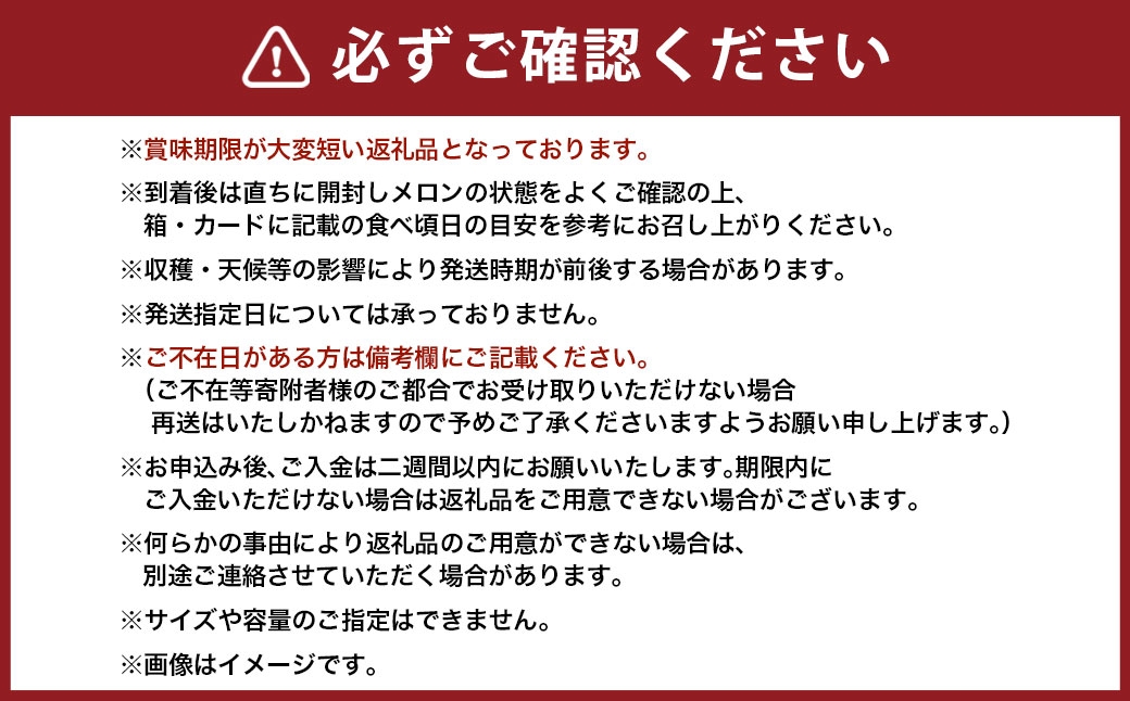 【10ヶ月定期便】静岡県産高級 アローマメロン 白等級 約1.5kg以上×大玉1玉