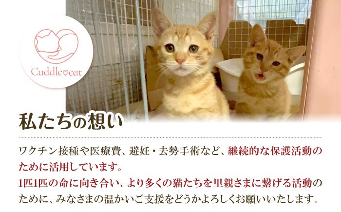 ねこ ネコ 猫 保護猫 猫グッズ 小物 雑貨 かわいい カードケース たわし グッズ 手作り ハンドメイド 人気 おすすめ