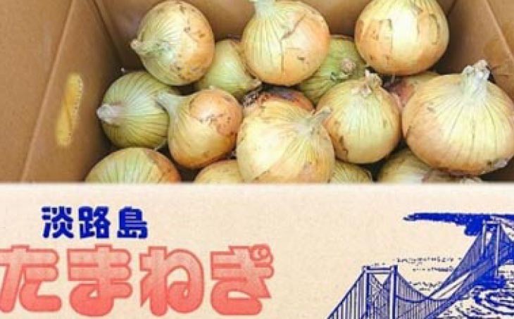 【新玉予約】淡路島産新玉ねぎ10kg