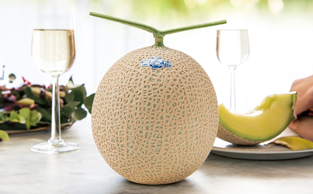 【10ヶ月定期便】静岡県産高級 アローマメロン 約1.3kg以上×山等級1玉