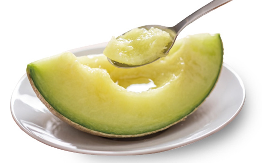 【9ヶ月定期便】静岡県産高級 アローマメロン 約1.3kg以上×山等級1玉