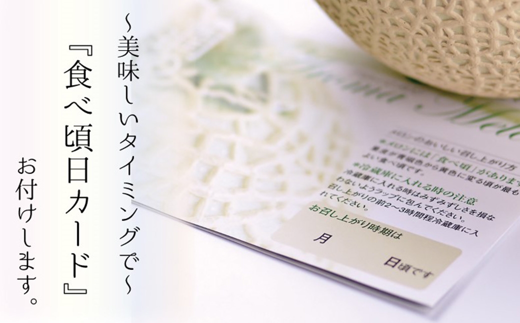 【12ヶ月定期便】静岡県産高級 アローマメロン 白等級 大玉1玉