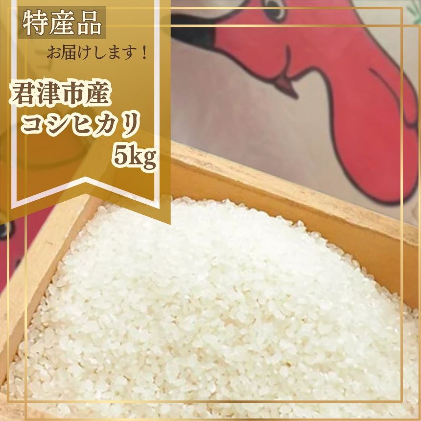 君津市産コシヒカリ5kg（精米）※写真はイメージです
