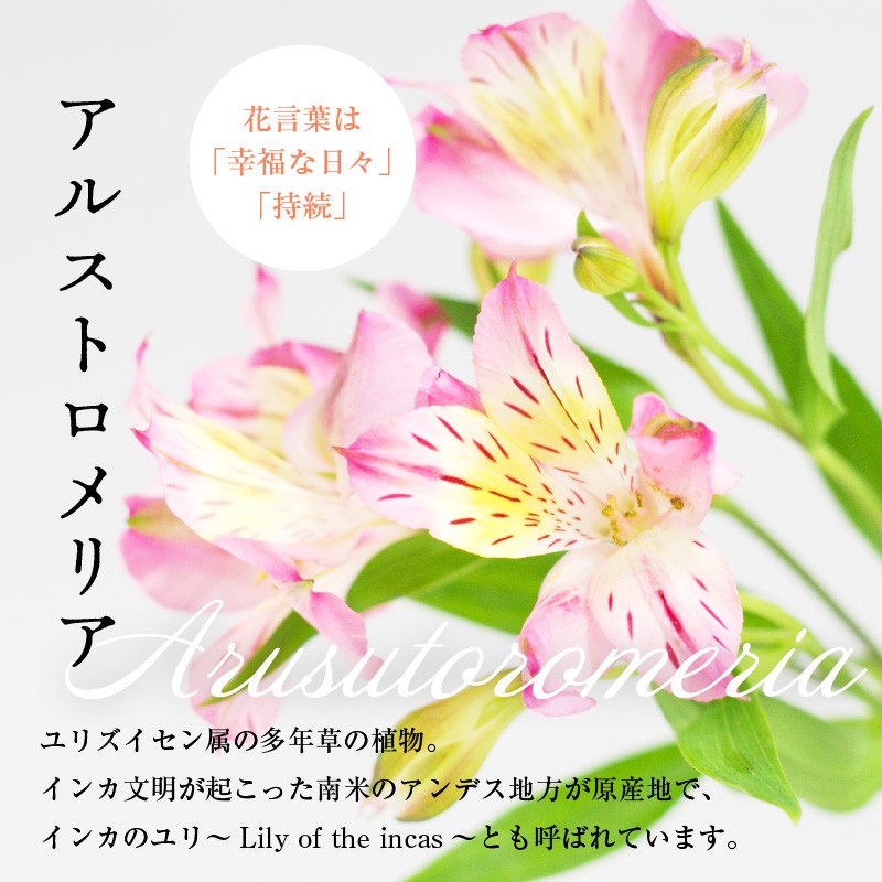 写真はイメージです