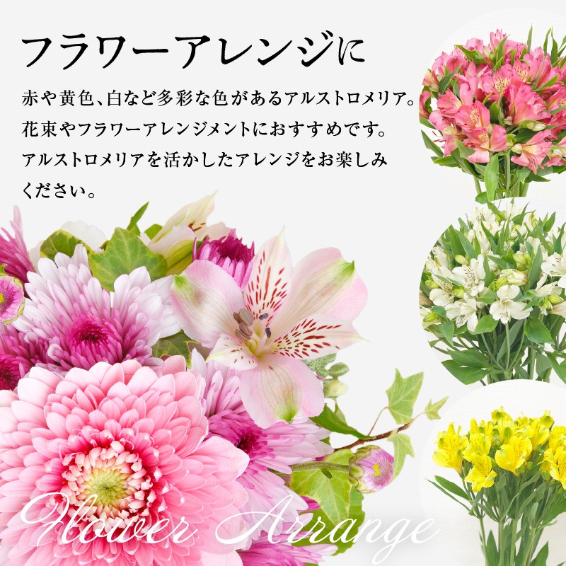 写真はイメージです