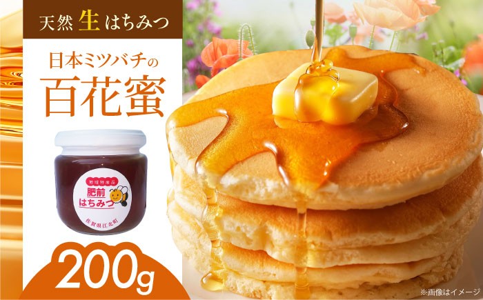 【先行予約】日本ミツバチの天然生はちみつ ( 百花蜜 ) 200g【白木酒店】 [HAQ031]
