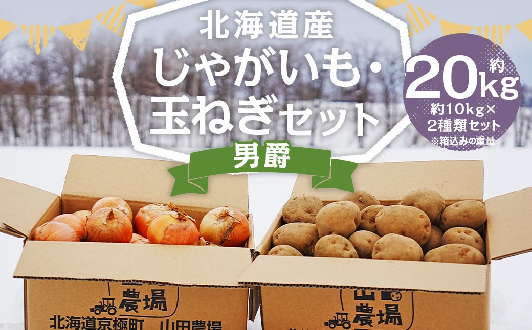 北海道産 じゃがいも 男爵 玉ねぎ セット M～2Lサイズ混載 各約10kg 合計約20kg 2箱 山田農場