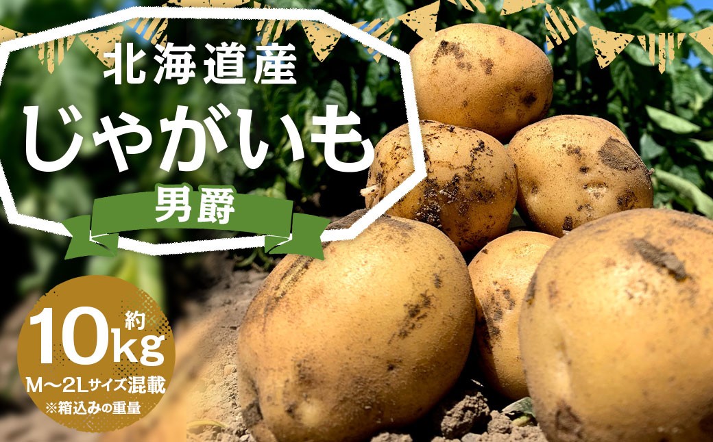 北海道産 じゃがいも 男爵 M～2Lサイズ混載 約10kg 1箱 山田農場