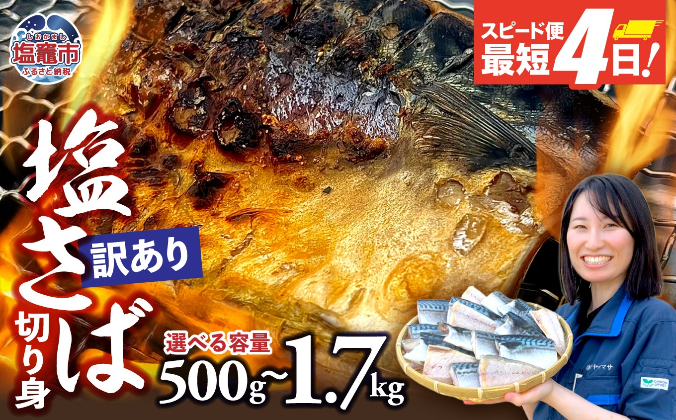 【訳あり】塩さば切身 深層海塩仕込み | ym00013 サバ さば 切り身 鯖 海塩 塩竈市 ヤママサ
