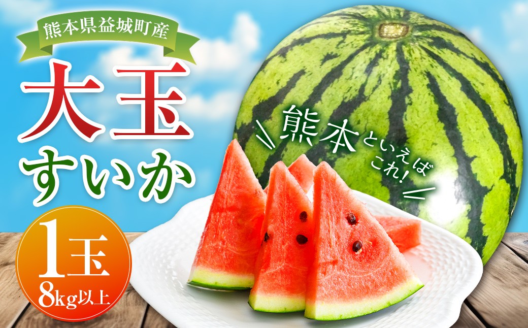 大玉 すいか 1玉 8kg 以上 西瓜 益城産
