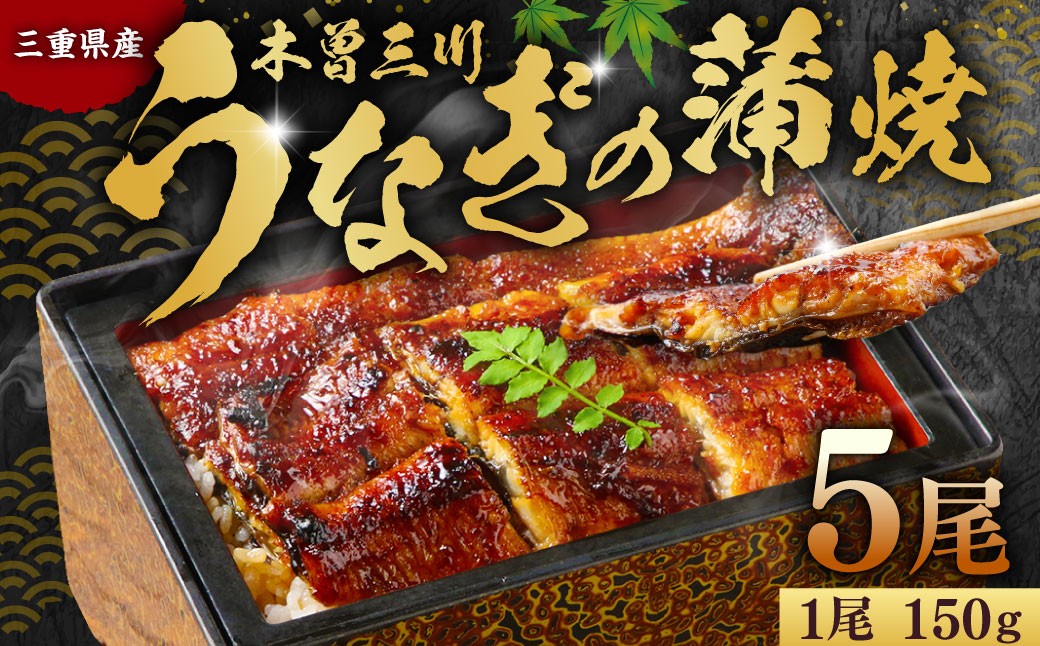 木曽三川ウナギの蒲焼5尾